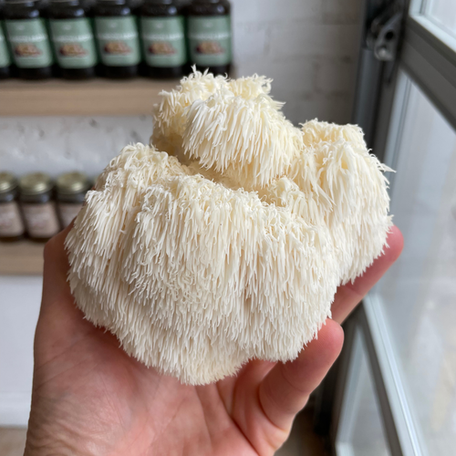 The Power of Mushrooms: Taste, Nutrition, and Benefits